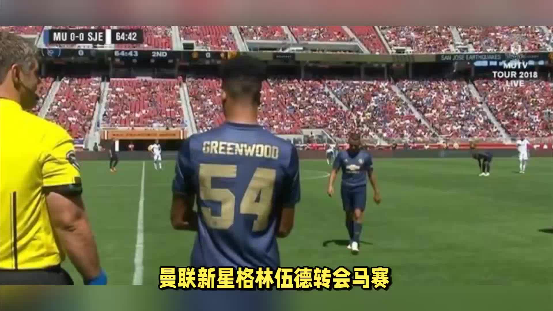 他们提供一