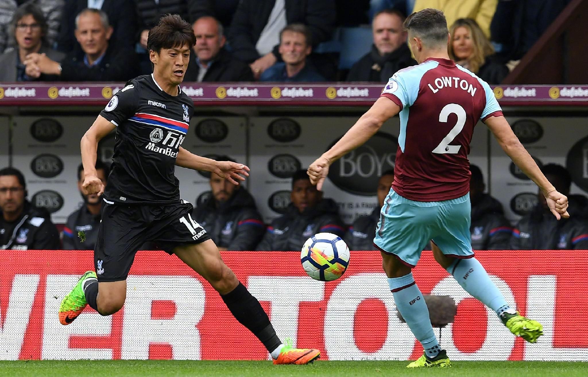 不仅出于对 不仅出于对