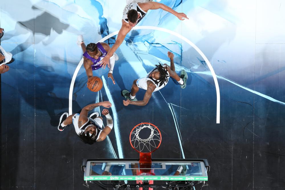 术丰富性 术丰富性