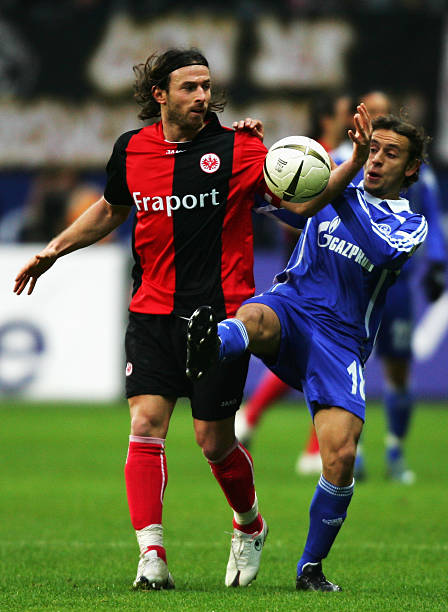 如果你需要 如果你需要